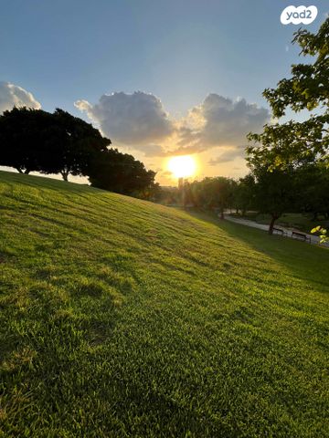 דרך השלום 93