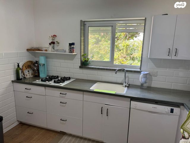 דירה, ד"ר יואכים כספרי, נעמ"ת, חיפה