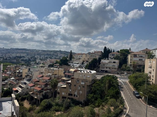 דירה, ד"ר יואכים כספרי, נעמ"ת, חיפה