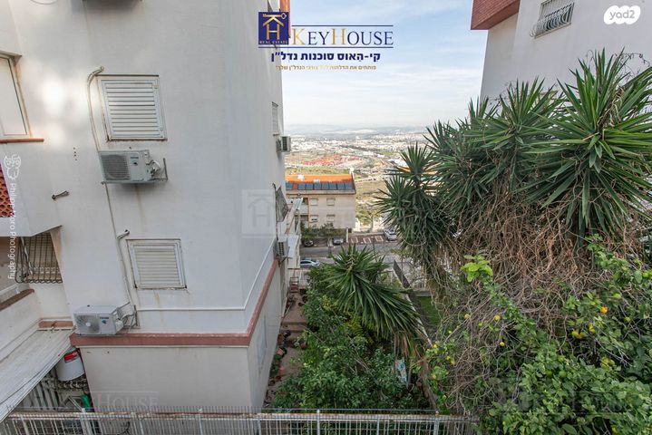 דירה, אריה דולצ'ין, חיפה