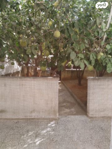 בית פרטי/ קוטג', מסדה, רמלה