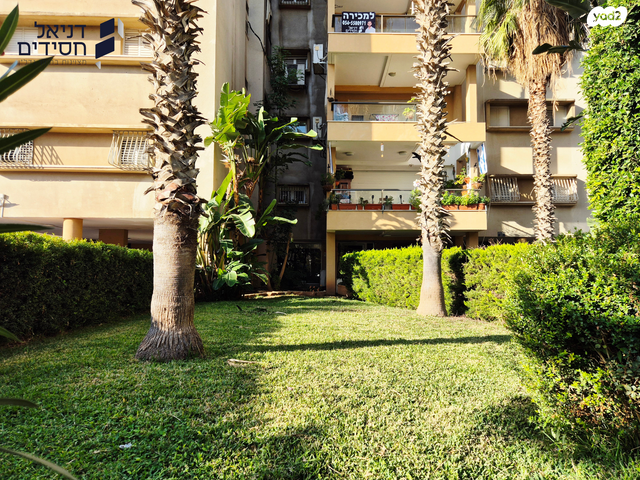 דירה, דוד צדוק, בן גוריון, חולון