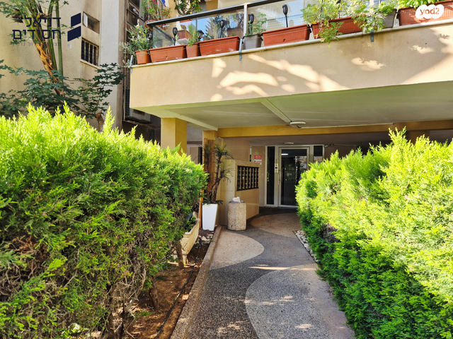 דירה, דוד צדוק, בן גוריון, חולון