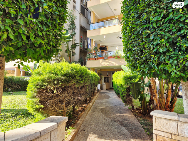 דירה, דוד צדוק, בן גוריון, חולון