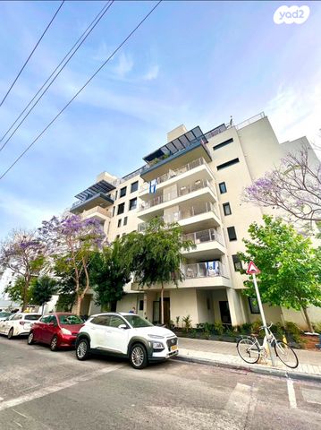 דרך הטייסים 