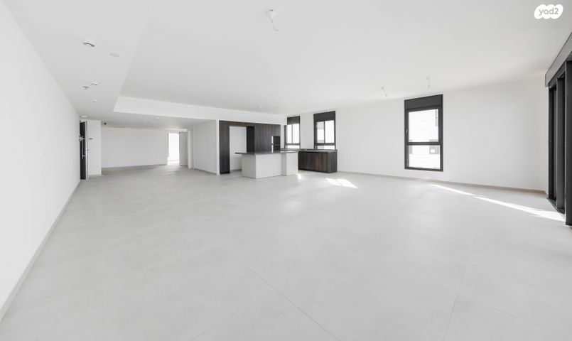 גג/ פנטהאוז