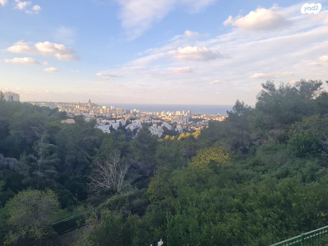 דירה, התאנה, נשר