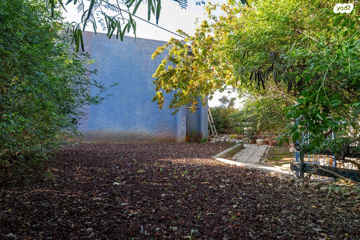 דו משפחתי, ראובן, נווה הברון, זכרון יעקב