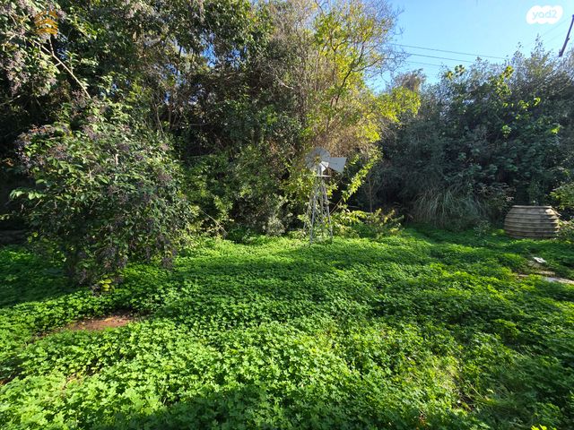 משק חקלאי/ נחלה, בית נקופה