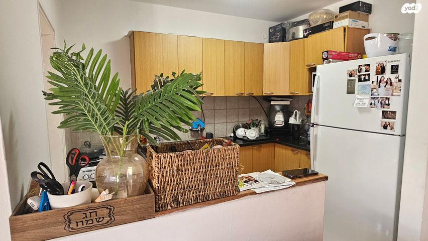 דירה, אברהם דנינו, בן גוריון, עכו