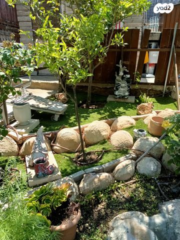 דו משפחתי, מעוף, ערד