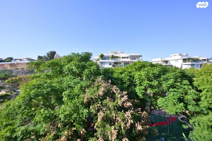 דירה, נס ציונה