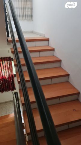 אלברט שווייצר 