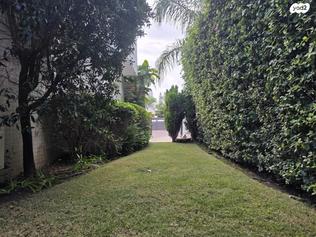 דופלקס, נהריה