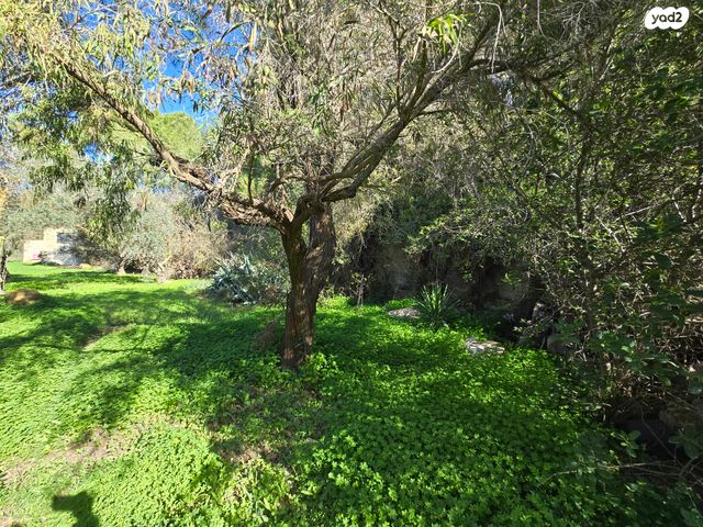 משק חקלאי/ נחלה, בית נקופה