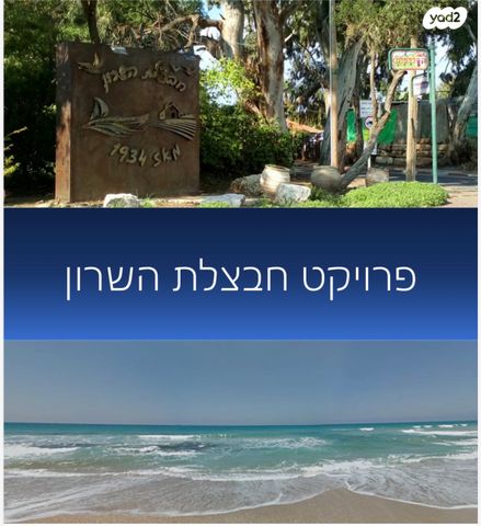 חבצלת השרון