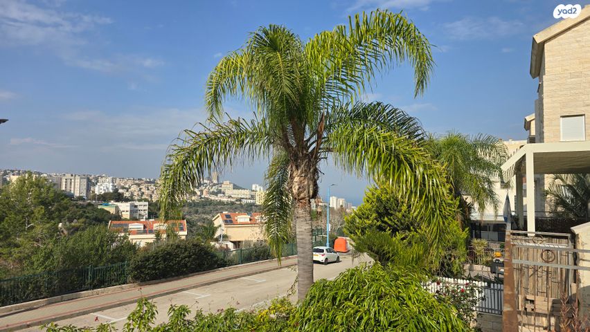 דירה, חוחית 5, רמת חן, חיפה