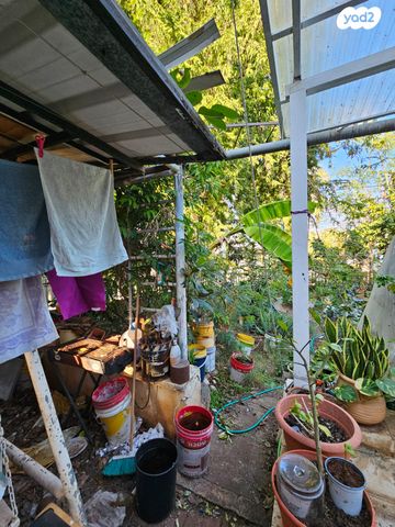 בית פרטי/ קוטג', ביל"ו, נווה זית, לוד