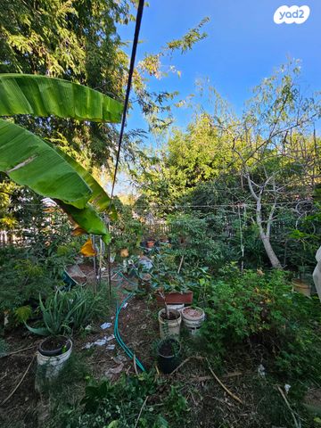 בית פרטי/ קוטג', ביל"ו, נווה זית, לוד