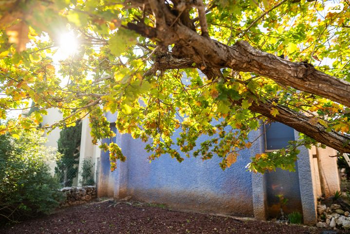 דו משפחתי, ראובן, נווה הברון, זכרון יעקב