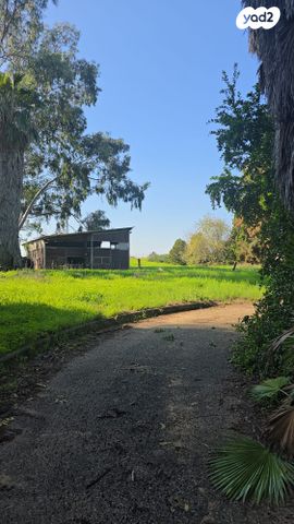משק חקלאי/ נחלה, חניאל