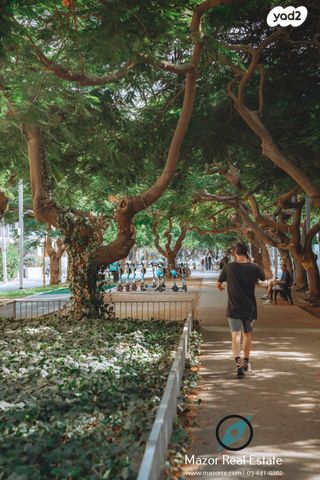 דירת גן, לב תל אביב, לב העיר צפון, תל אביב יפו