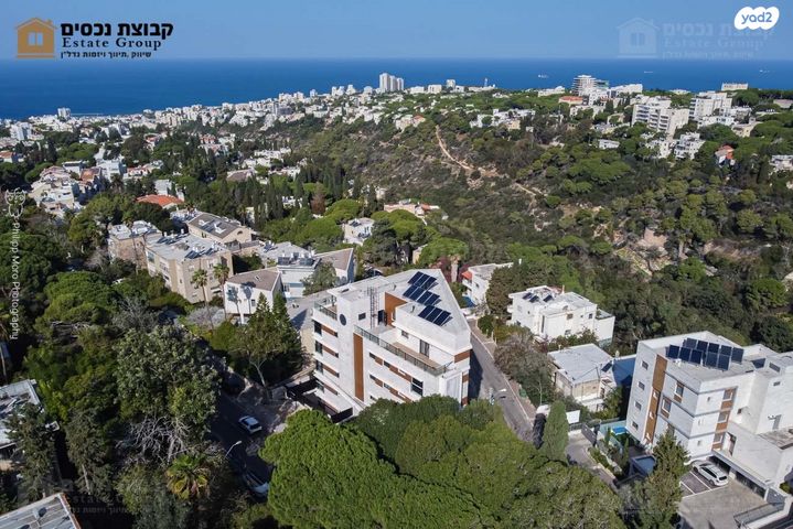 שושנת הכרמל 