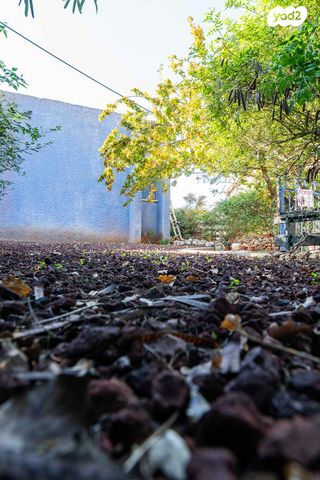 דו משפחתי, ראובן, נווה הברון, זכרון יעקב