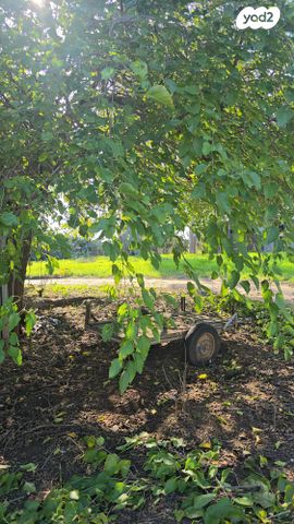 משק חקלאי/ נחלה, חניאל