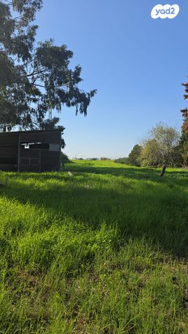 משק חקלאי/ נחלה, חניאל