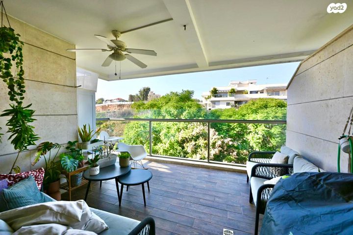 דירה, נס ציונה