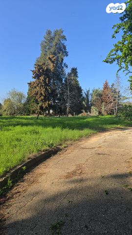 משק חקלאי/ נחלה, חניאל