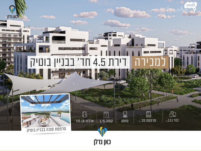 יהדות הולנד 