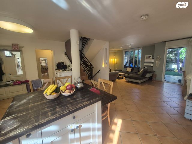 סמטת הפקאנים 