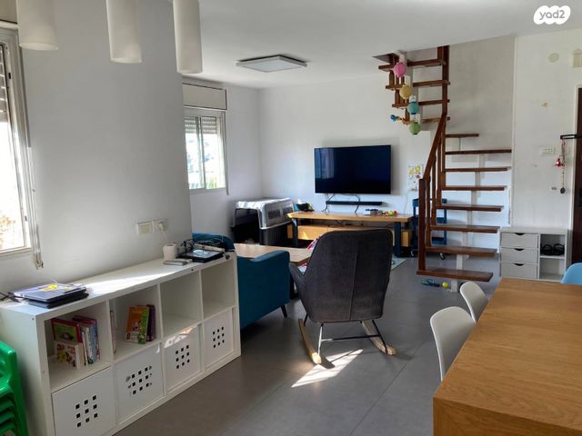 אירוס הארגמן 