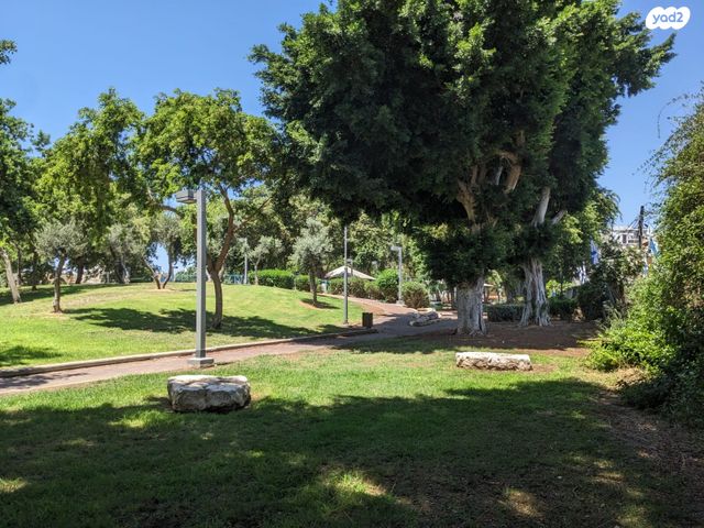 דירת גן, קרית שלום, תל אביב יפו