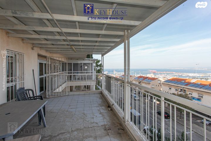 דירה, אריה דולצ'ין, חיפה