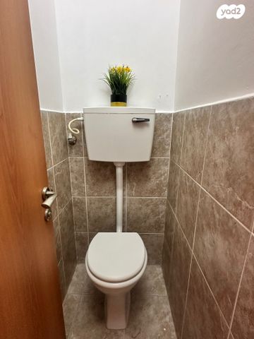 דירה, ארתור הנטקה, אחוזה, חיפה