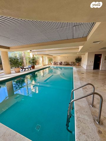 מדינת היהודים 