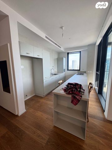 ליאונרדו דה וינצ'י 13