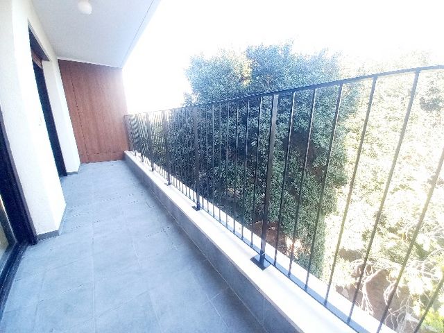 דירה, מגן אברהם, צפון יפו, המושבה האמריקאית-גרמנית, תל אביב יפו