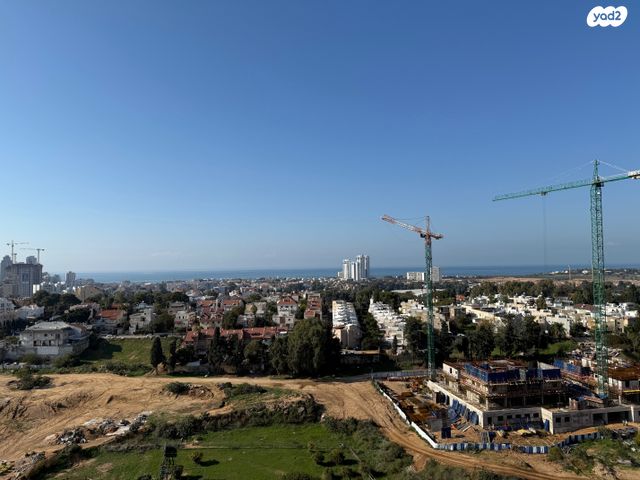 ד"ר יוסף בורג 