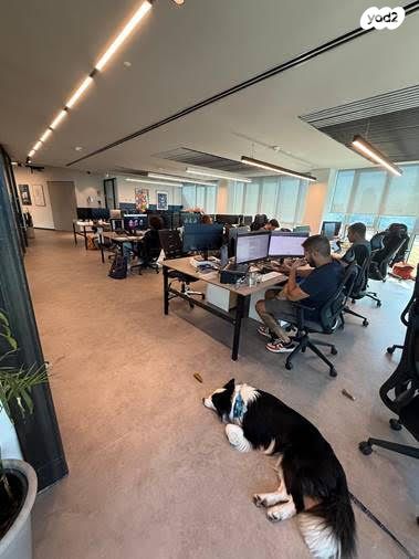 שדרות רוטשילד 