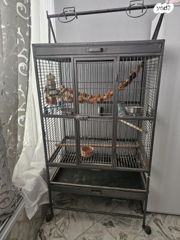 תמונת מודעה - חיות מחמד