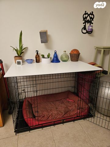 תמונת מודעה - חיות מחמד