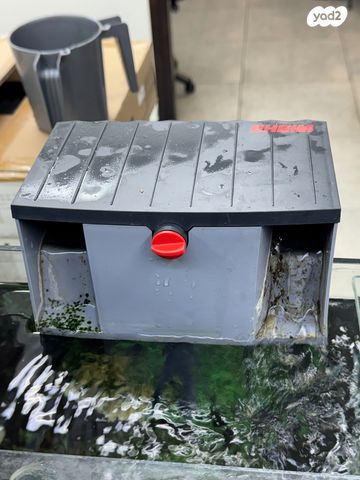 תמונת מודעה - חיות מחמד