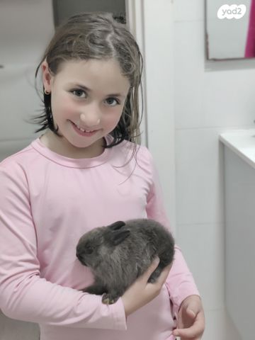 תמונת מודעה - חיות מחמד