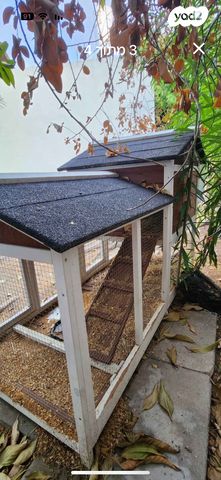 מכרסם ארנב שמוט אוזניים