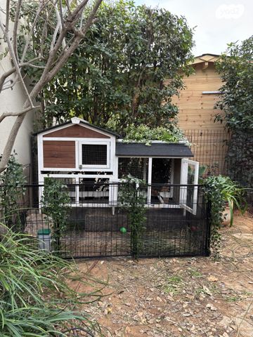 מכרסם ארנב שמוט אוזניים