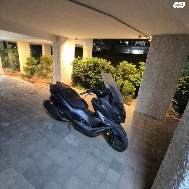 סאן יאנג קרוזים 300